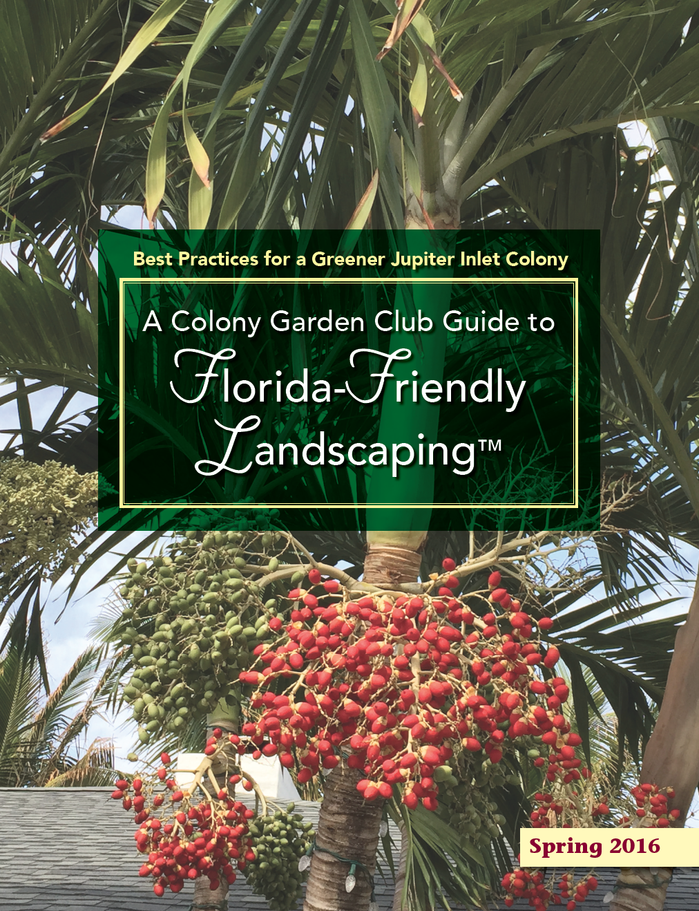 Screen Shot 2018-07-07 at 11.54.08 AM